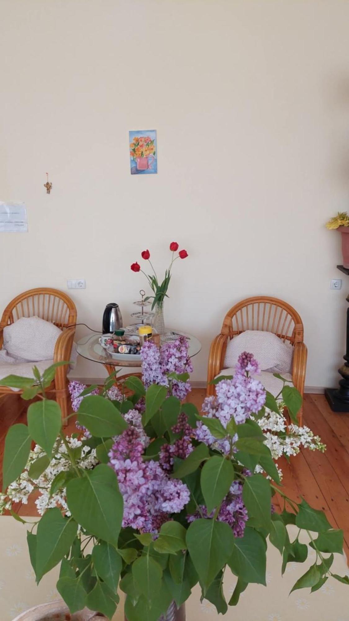 Guesthouse "Door" In Szenaki Kültér fotó