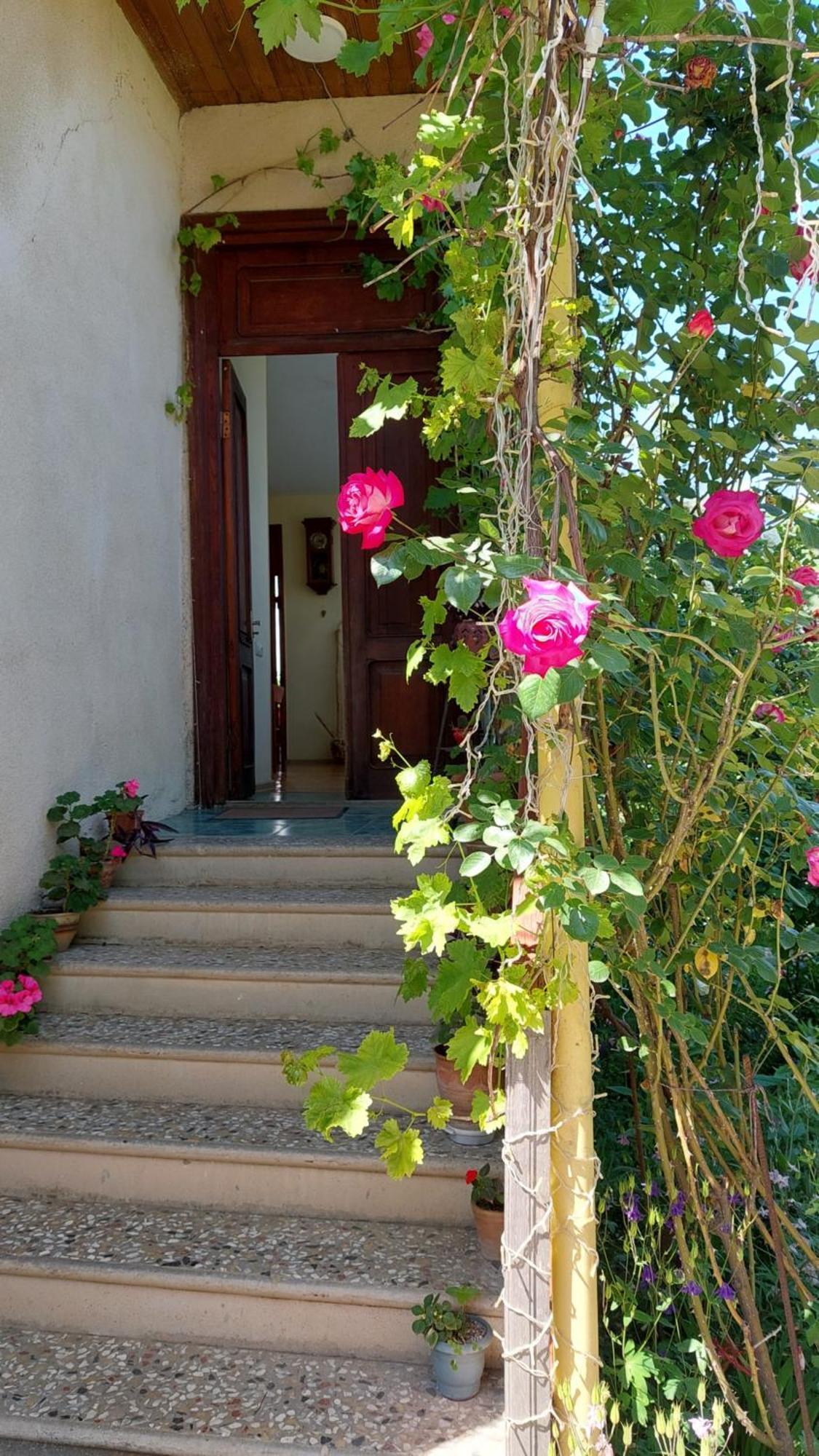 Guesthouse "Door" In Szenaki Kültér fotó